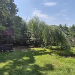 Dziupla