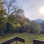 Dziupla Gorki Wielkie