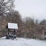 Dziupla *