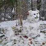 Dziupla Chalet *