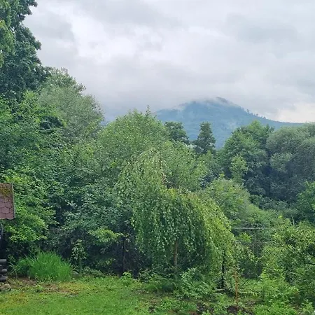 Dziupla Gorki Wielkie