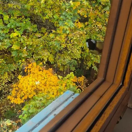 Chalet Dziupla Gorki Wielkie