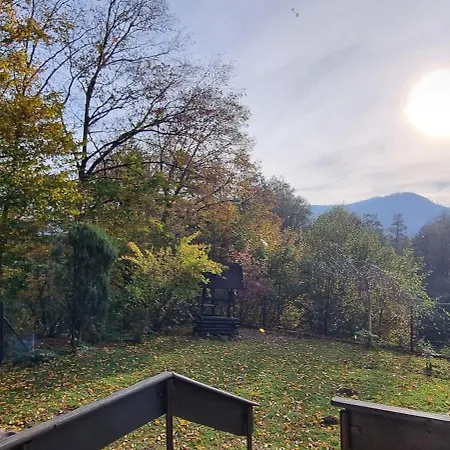 Dziupla Gorki Wielkie