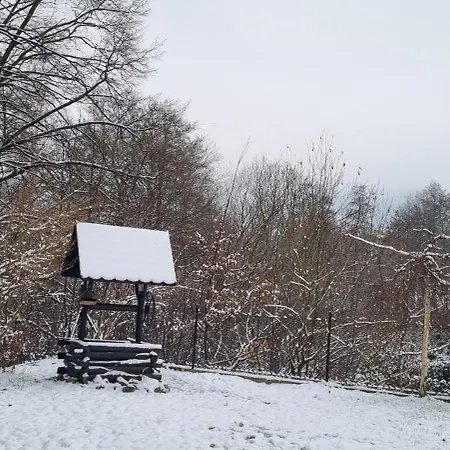 Dziupla *