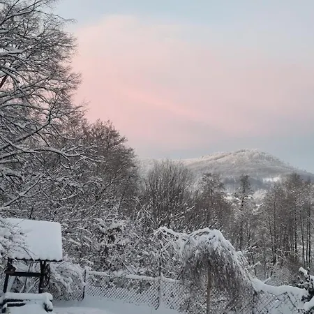 בקתה Dziupla Gorki Wielkie