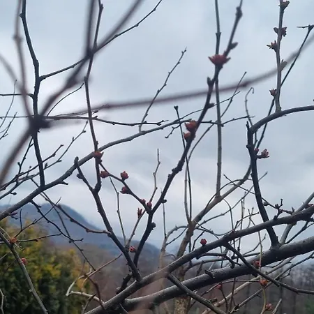 בקתה Dziupla Gorki Wielkie