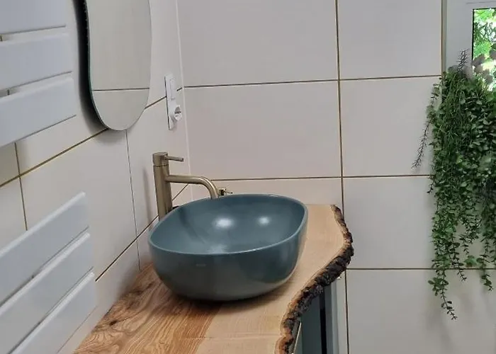 Dziupla * Gorki Wielkie