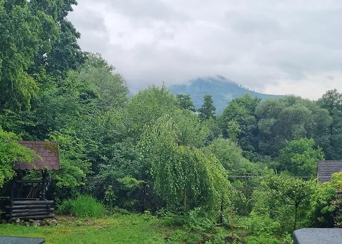 Dziupla Gorki Wielkie