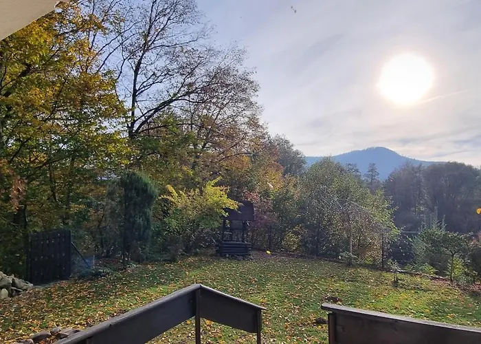 Dziupla Gorki Wielkie